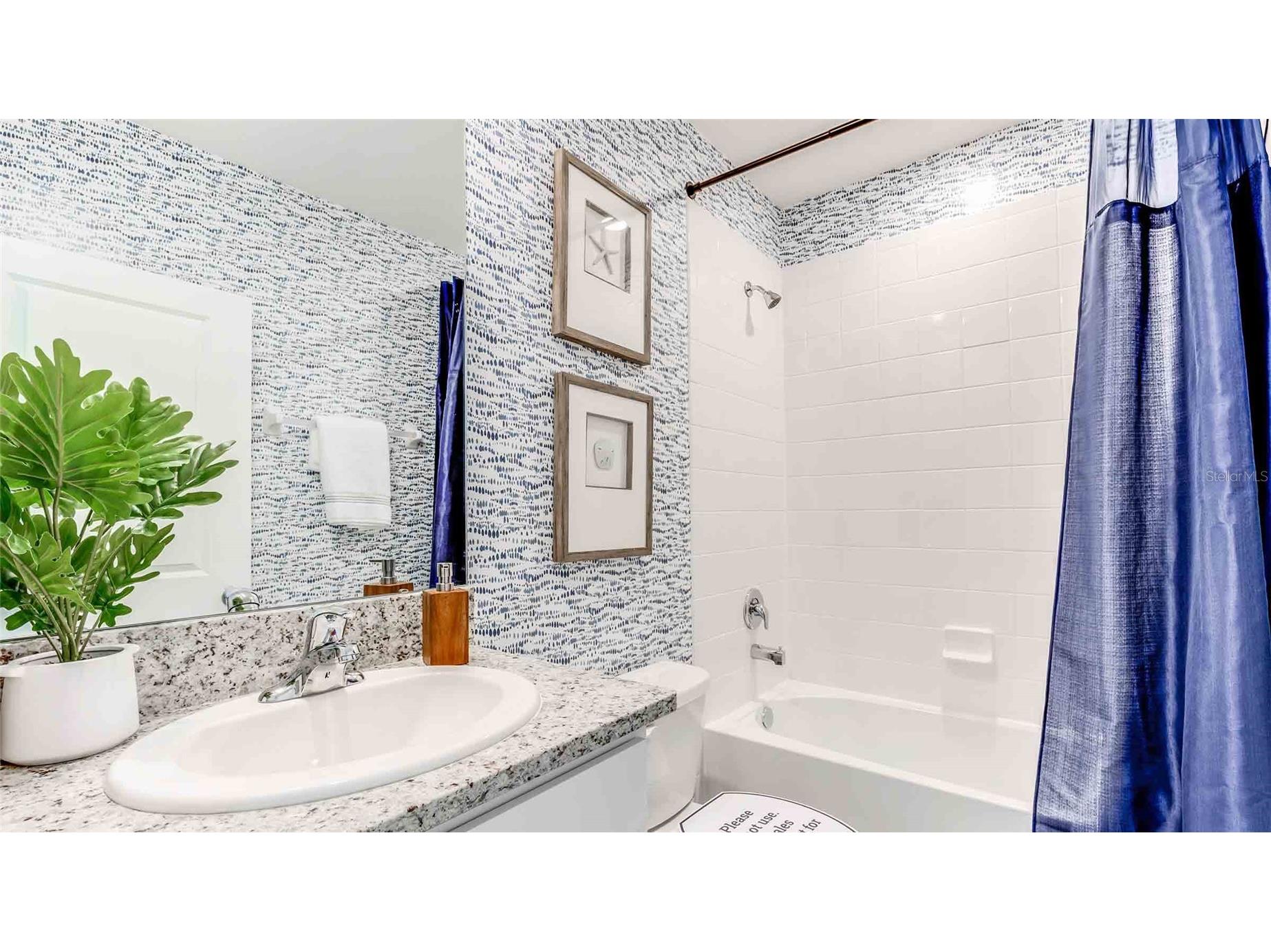 2439 Stratten Drive Zephyrhills FL 33541 TB8472260 image13