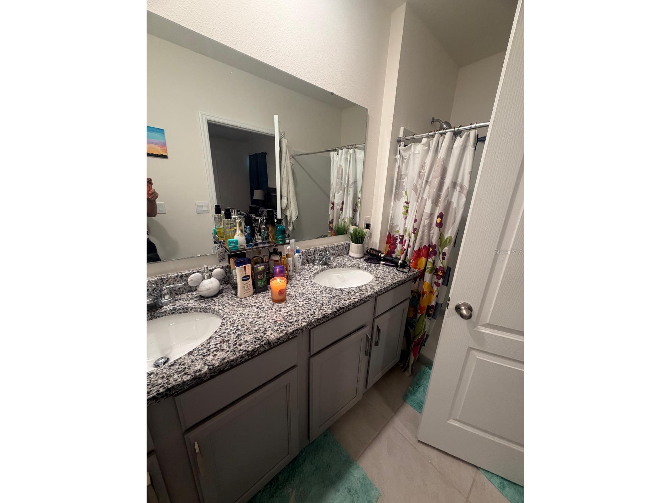 2439 Violet Shelton Court Sanford FL 32773 O6419808 image12