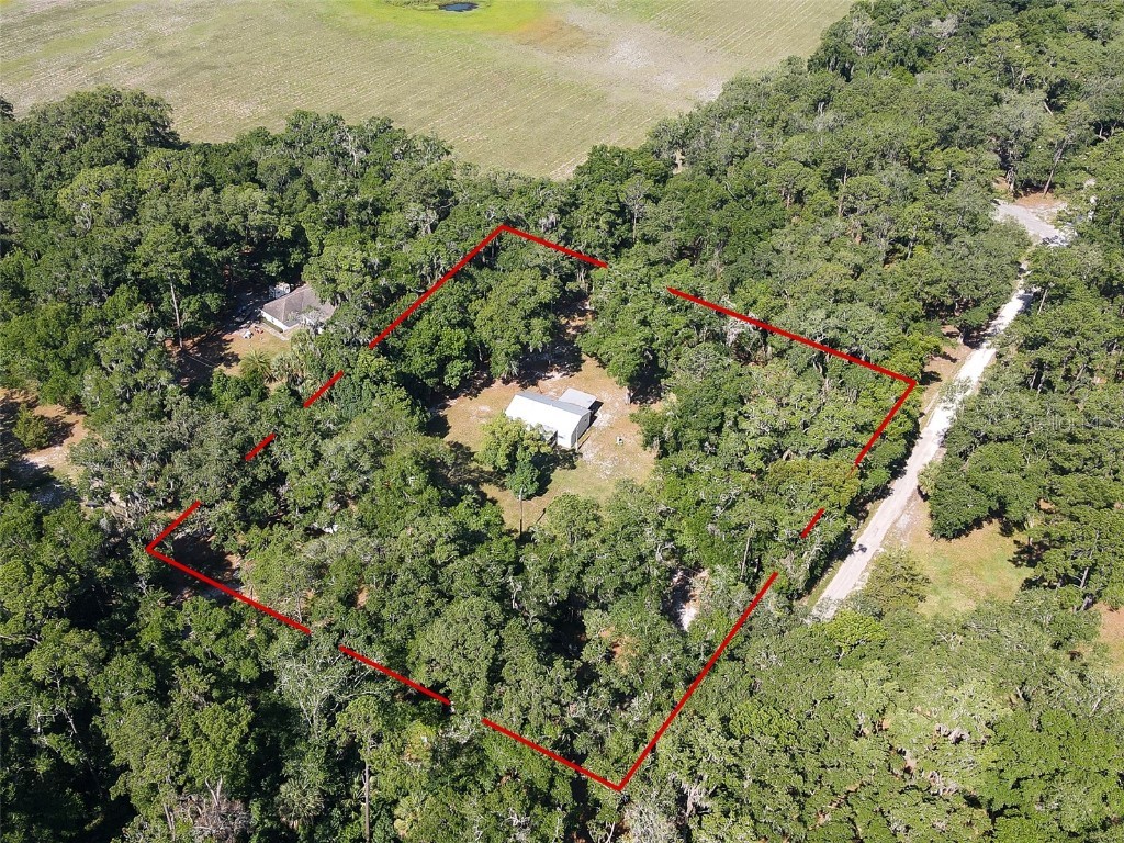 24390 NE 127 Avenue Fort Mc Coy FL 32134 O6210672 image1