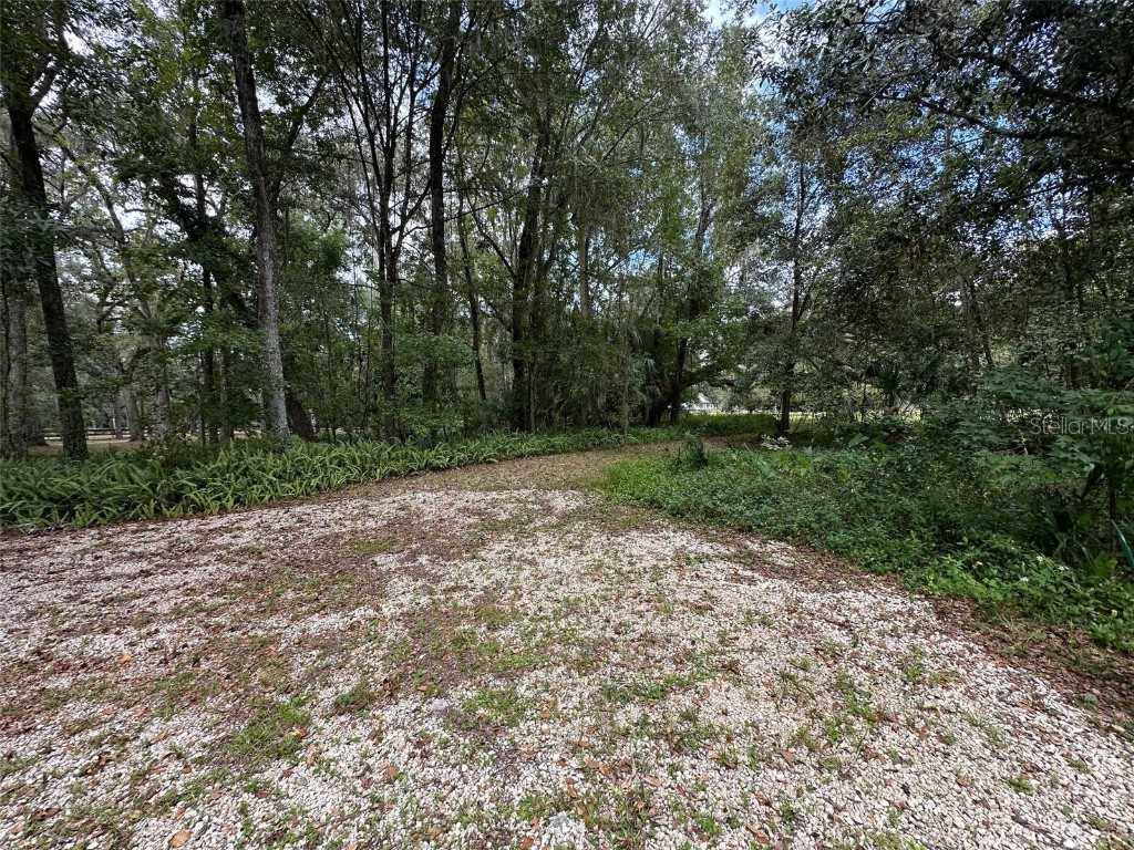 24392 Lanark Road Brooksville FL 34601 TB8439459 image14