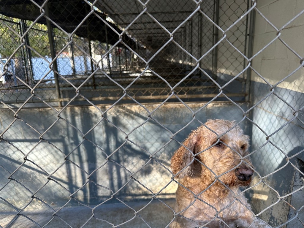 24392 Lanark Road Brooksville FL 34601 TB8439459 image24