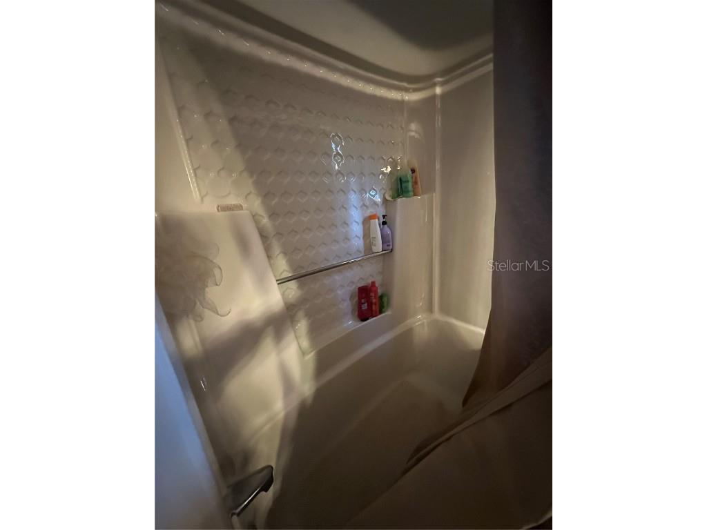 24392 Lanark Road Brooksville FL 34601 TB8439459 image37