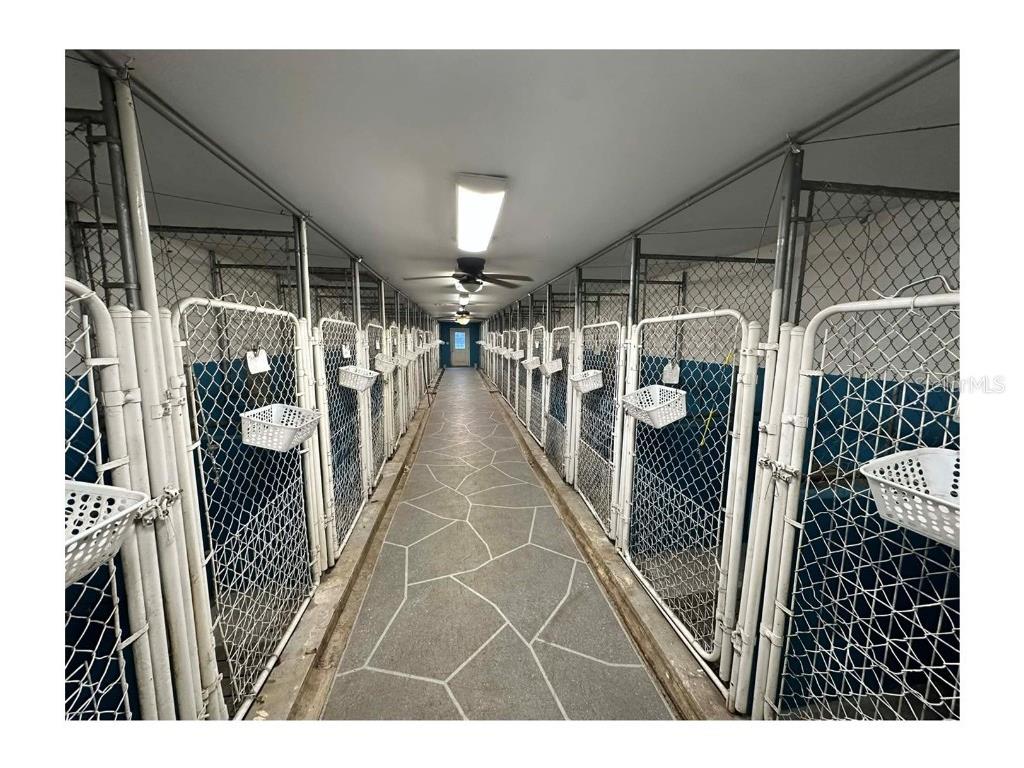 24392 Lanark Road Brooksville FL 34601 TB8439459 image58