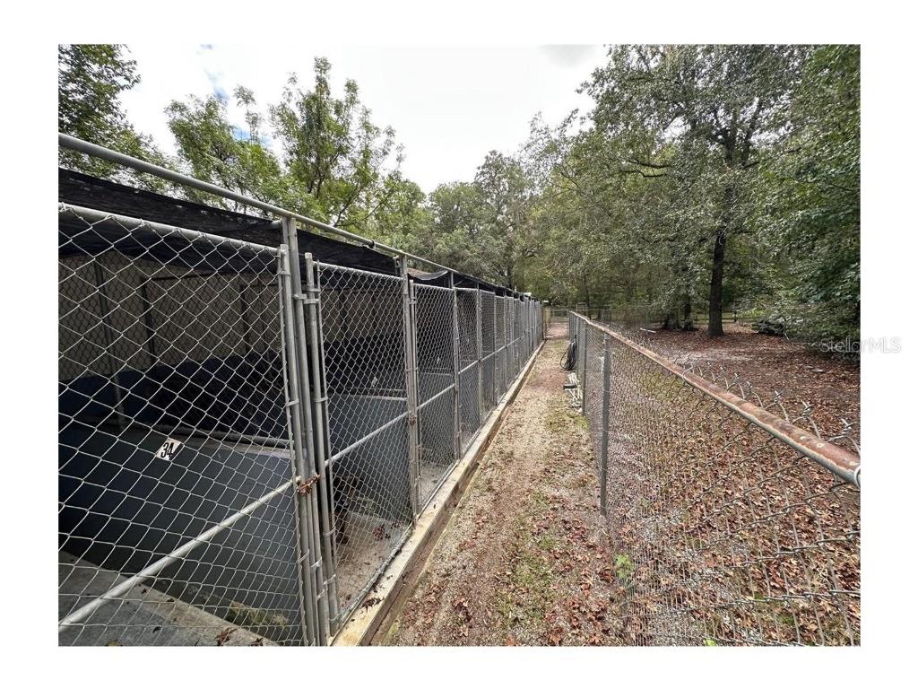 24392 Lanark Road Brooksville FL 34601 TB8439459 image60