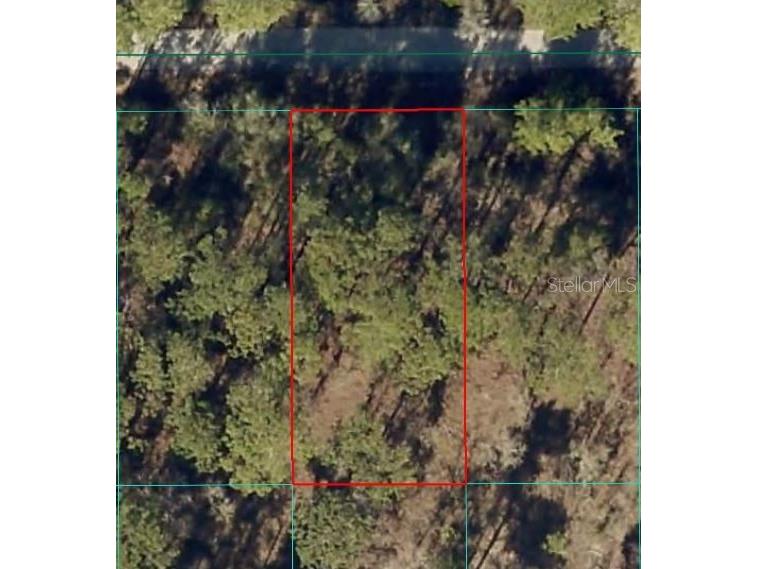 24394 NW Water Oak Avenue Dunnellon FL 34431 OM717062 image1