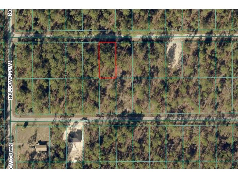 24394 NW Water Oak Avenue Dunnellon FL 34431 OM717062 image2
