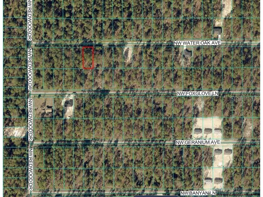 24394 NW Water Oak Avenue Dunnellon FL 34431 OM717062 image3