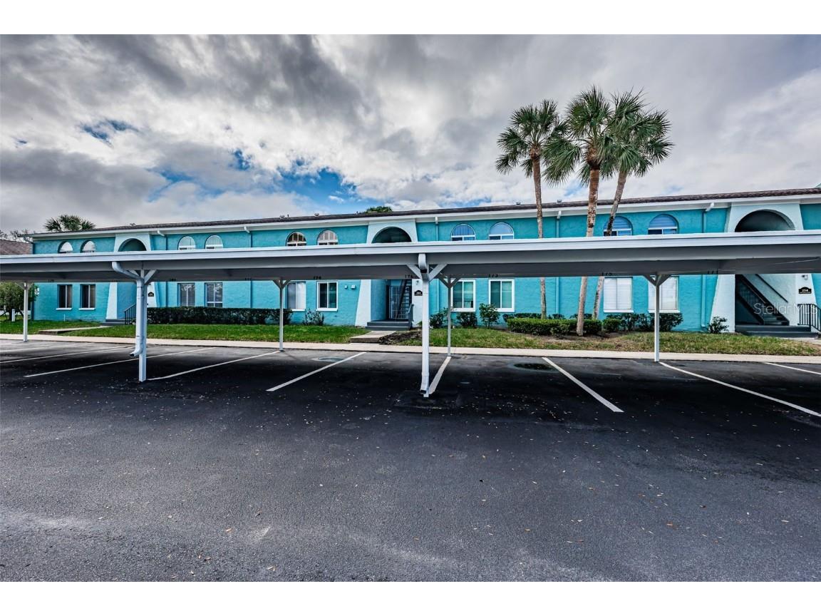 244 115th Avenue N #3 Saint Petersburg FL 33716 TB8353958 image1