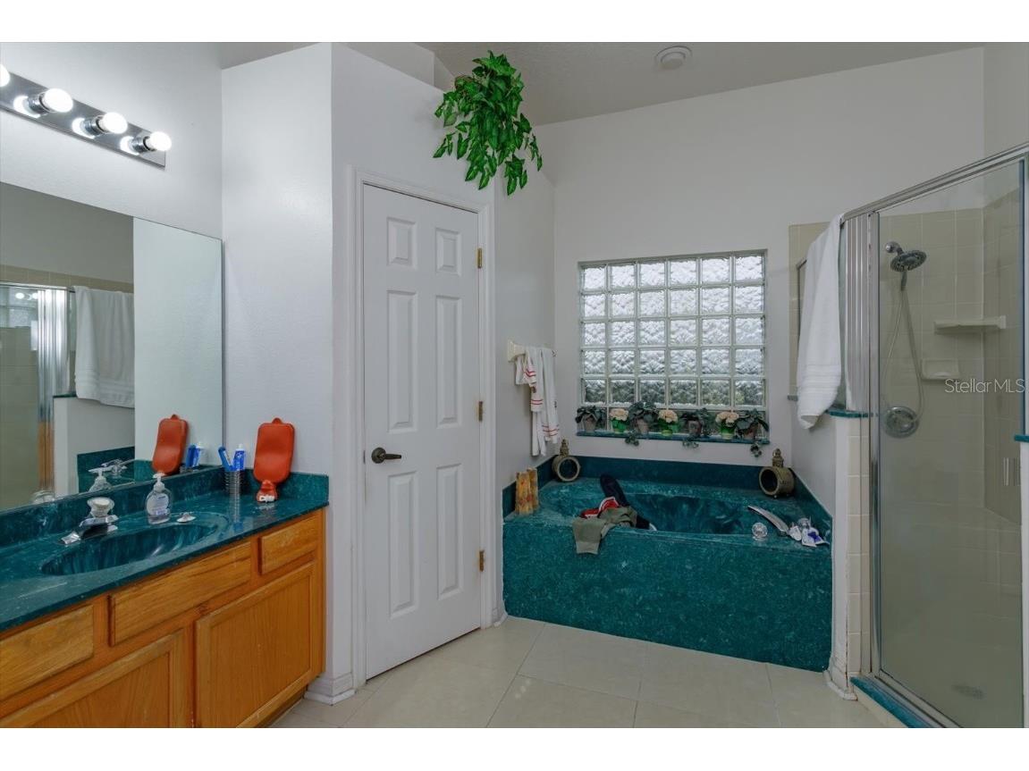 244 Ballyshannon Drive Davenport FL 33897 O6309913 image13