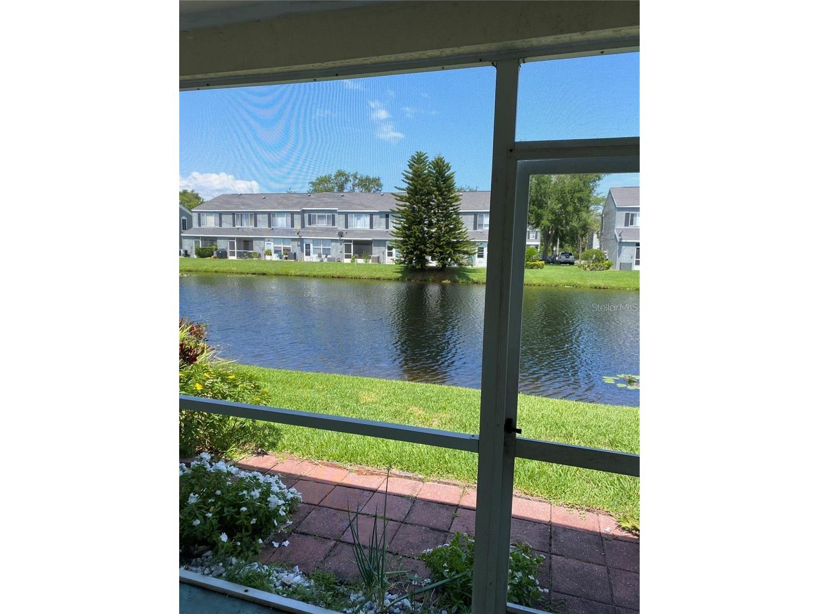 244 Countryside Key Boulevard Oldsmar FL 34677 TB8465176 image2