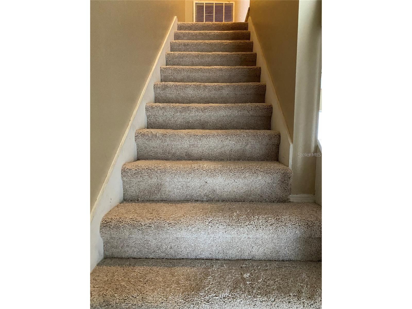 244 Countryside Key Boulevard Oldsmar FL 34677 TB8465176 image8