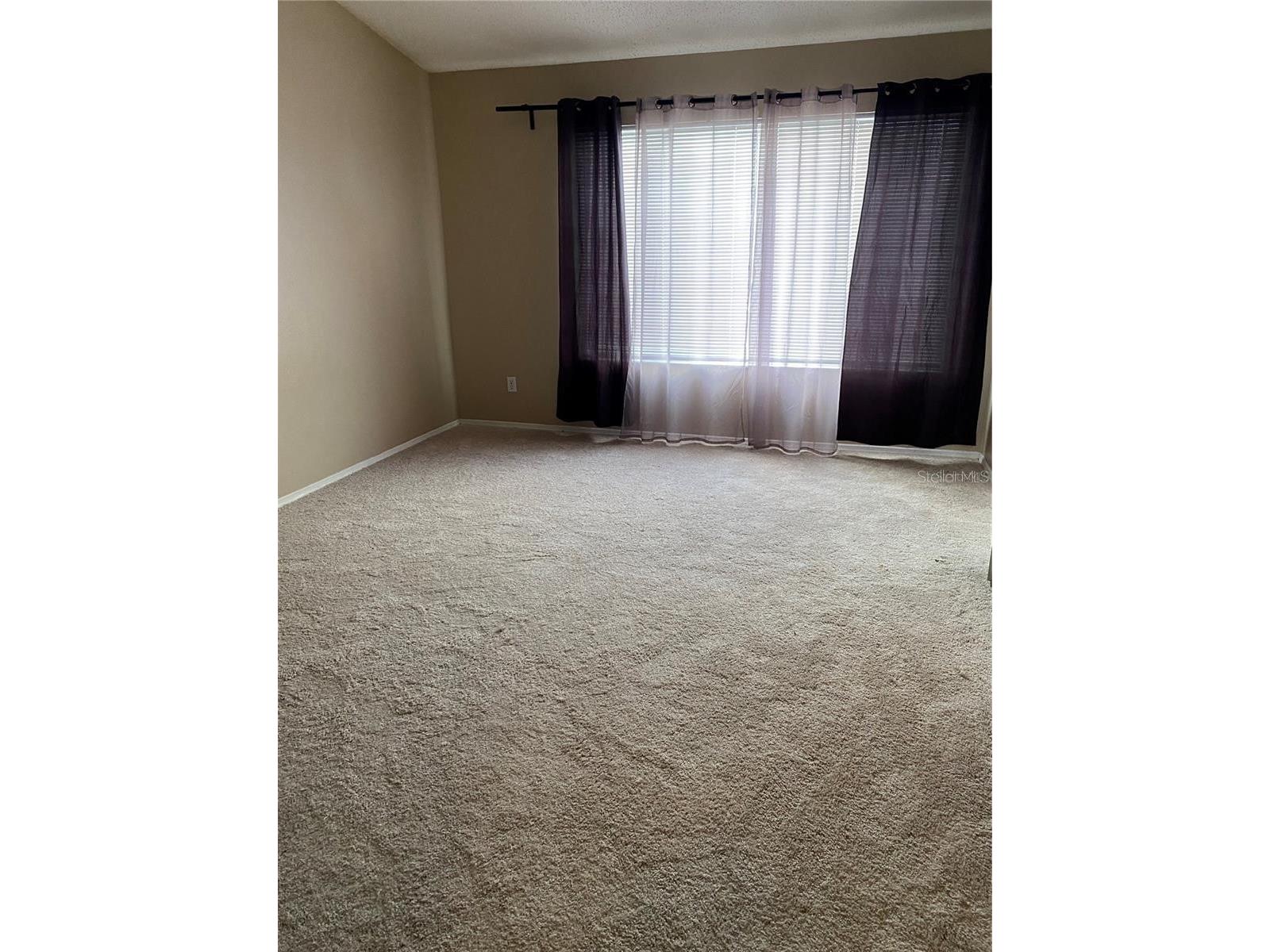 244 Countryside Key Boulevard Oldsmar FL 34677 TB8465176 image9