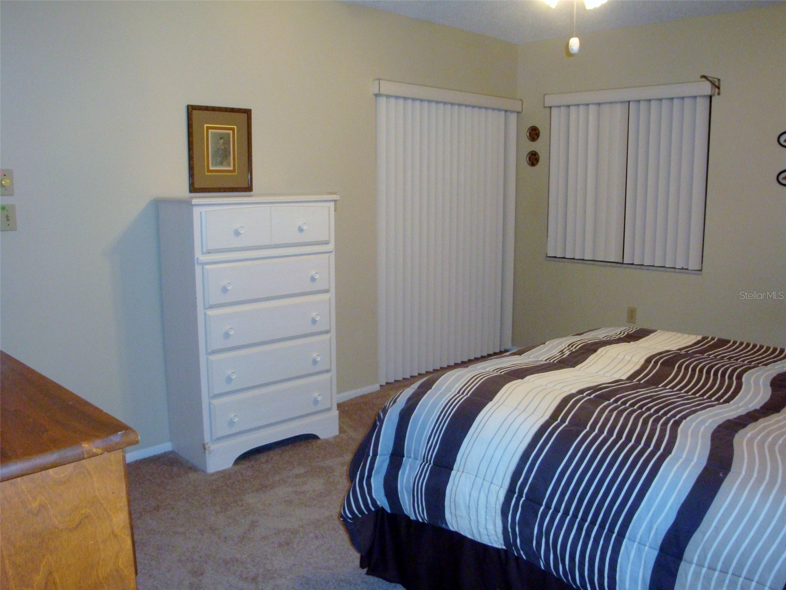 244 Cypress Lane #244 Oldsmar FL 34677 TB8394650 image10