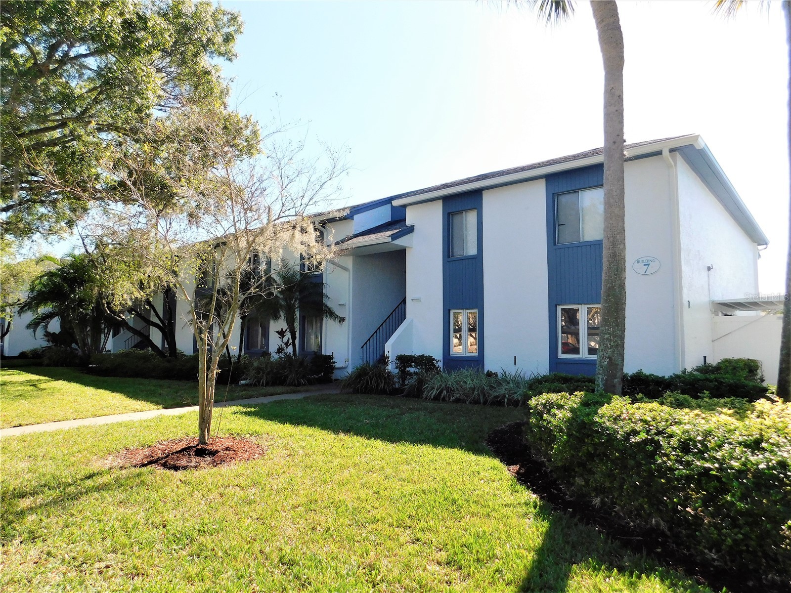 244 Cypress Lane #244 Oldsmar FL 34677 TB8394650 image16