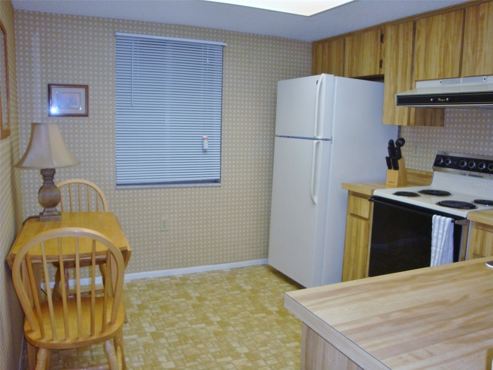 244 Cypress Lane #244 Oldsmar FL 34677 TB8394650 image7