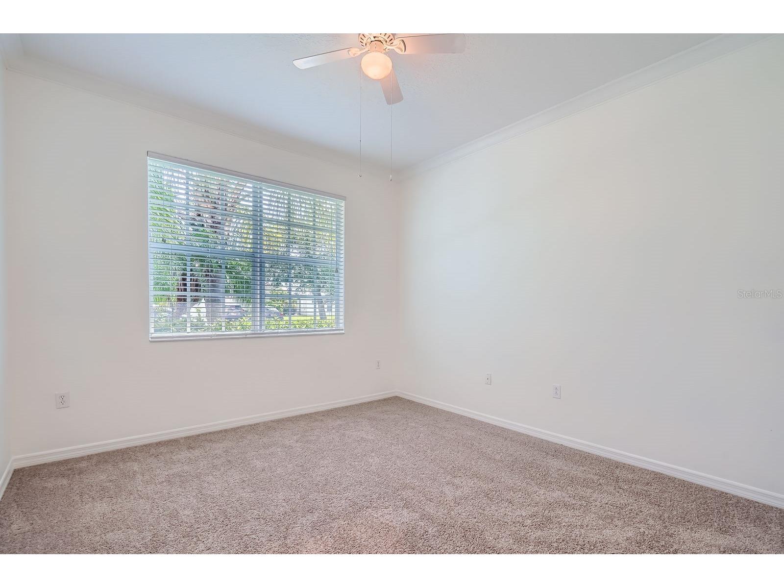 244 Golden Harbour Trail Bradenton FL 34212 TB8395648 image20