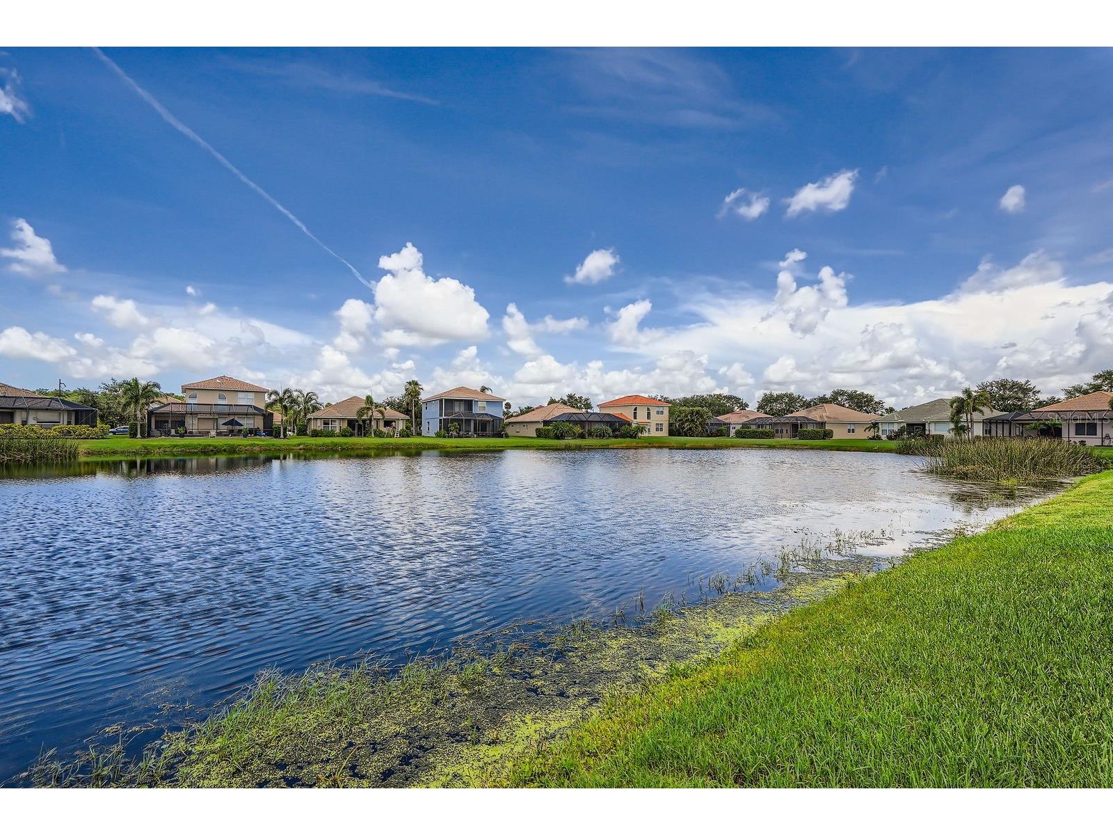 244 Golden Harbour Trail Bradenton FL 34212 TB8395648 image28