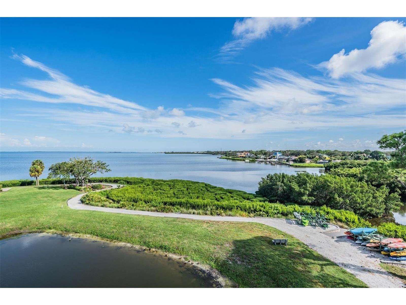 244 Mariner Drive Tarpon Springs FL 34689 - GULF SNEAD CREEK TB8430399 image2
