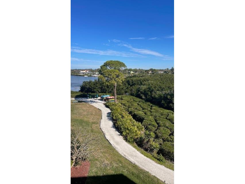 244 Mariner Drive Tarpon Springs FL 34689 - GULF SNEAD CREEK TB8430399 image40