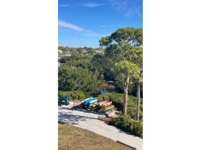 244 Mariner Drive Tarpon Springs FL 34689 - GULF SNEAD CREEK TB8430399 image41