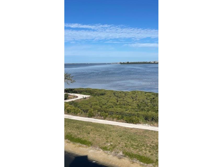 244 Mariner Drive Tarpon Springs FL 34689 - GULF SNEAD CREEK TB8430399 image42