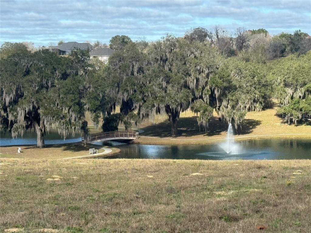 244 N Lake Shenandoah Loop Inverness FL 34453 U8238735 image1
