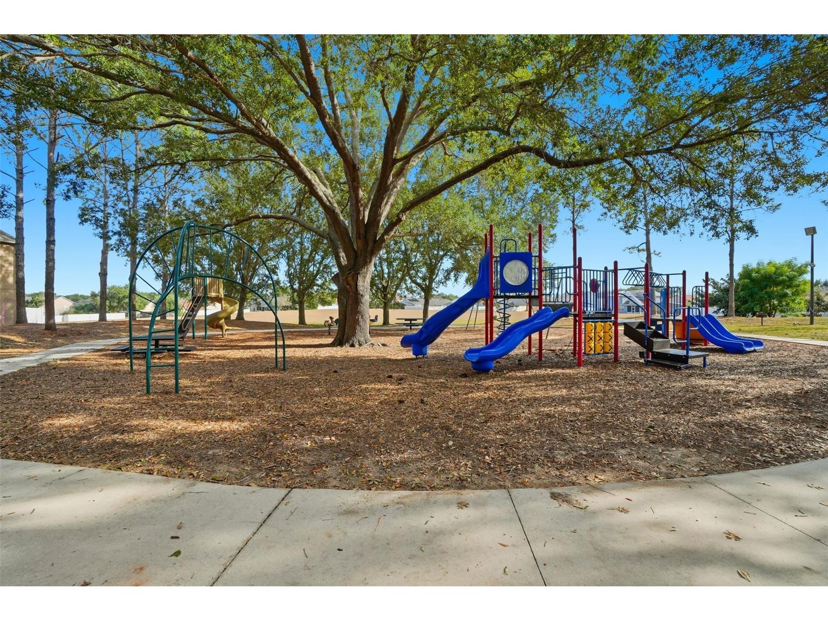 244 Pima Trail Groveland FL 34736 O6374482 image28