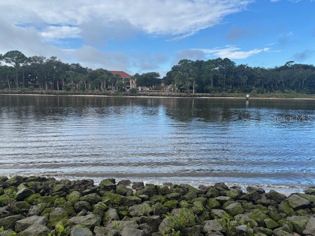 244 Yacht Harbor Drive Palm Coast FL 32137 O6359813 image2