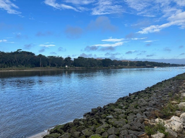 244 Yacht Harbor Drive Palm Coast FL 32137 O6359813 image4