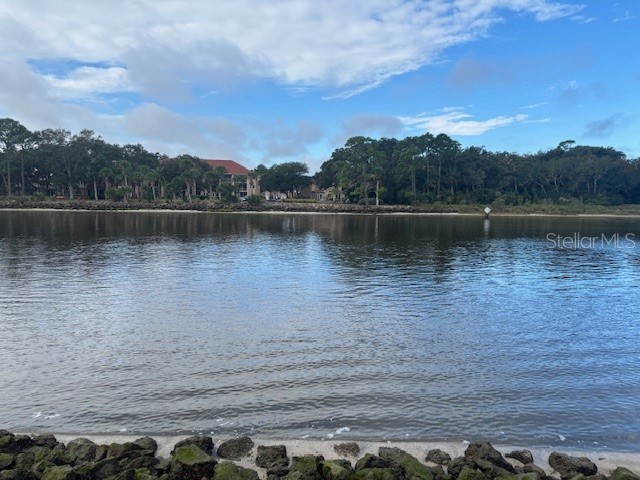 244 Yacht Harbor Drive Palm Coast FL 32137 O6359813 image5