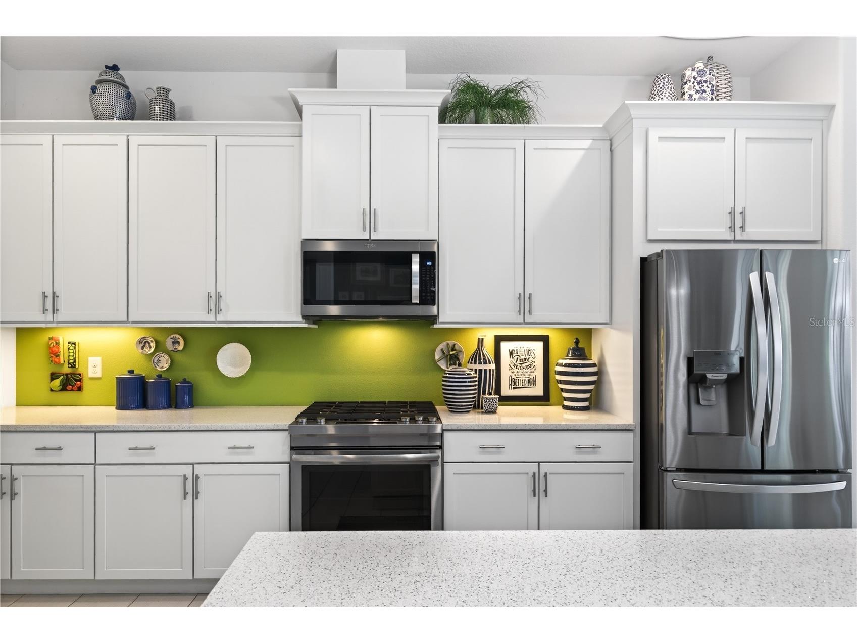 2440 Pawtucket Pass Mount Dora FL 32757 - LAKES OF MOUNT DORA G5107567 image13