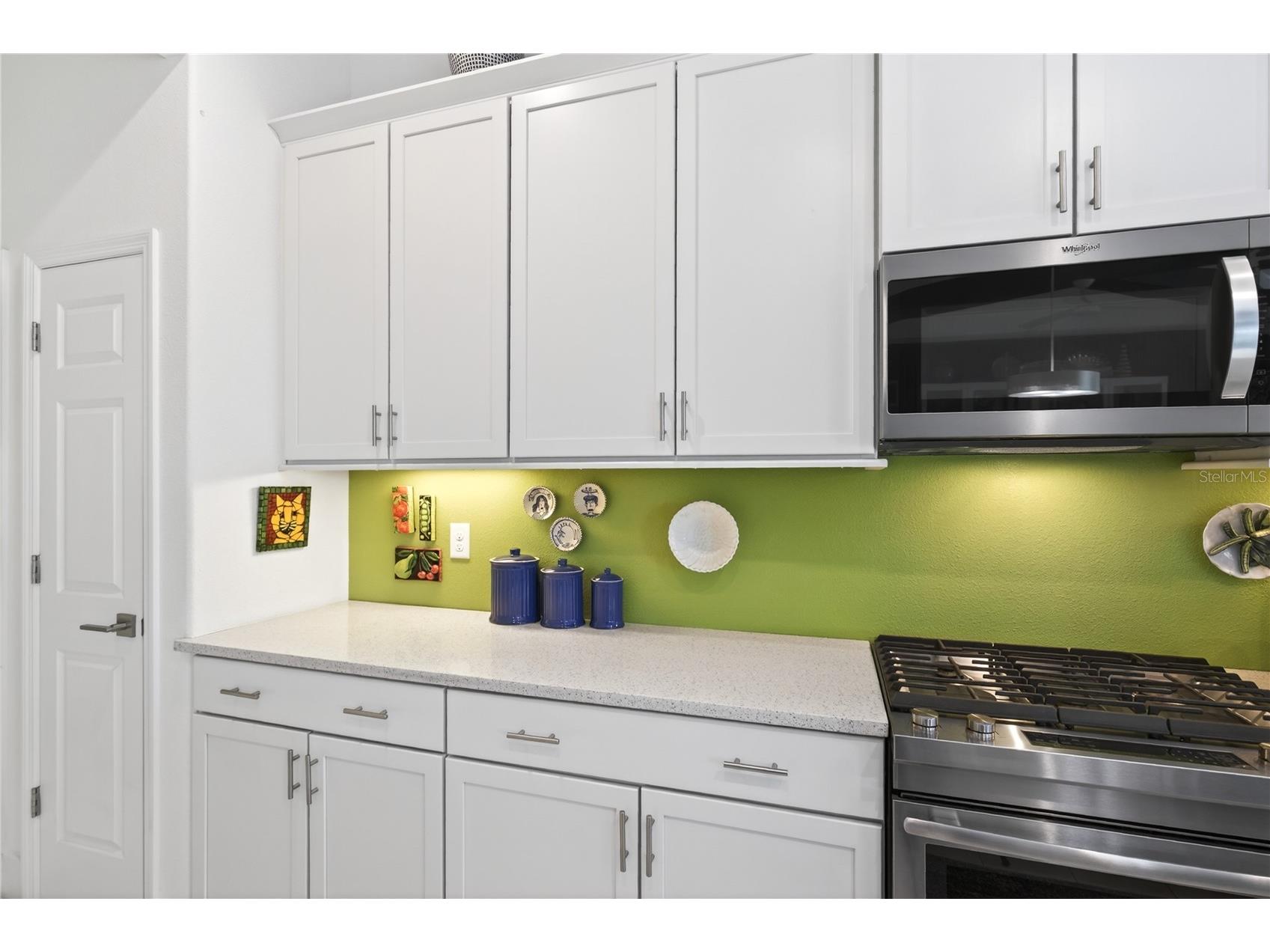 2440 Pawtucket Pass Mount Dora FL 32757 - LAKES OF MOUNT DORA G5107567 image14