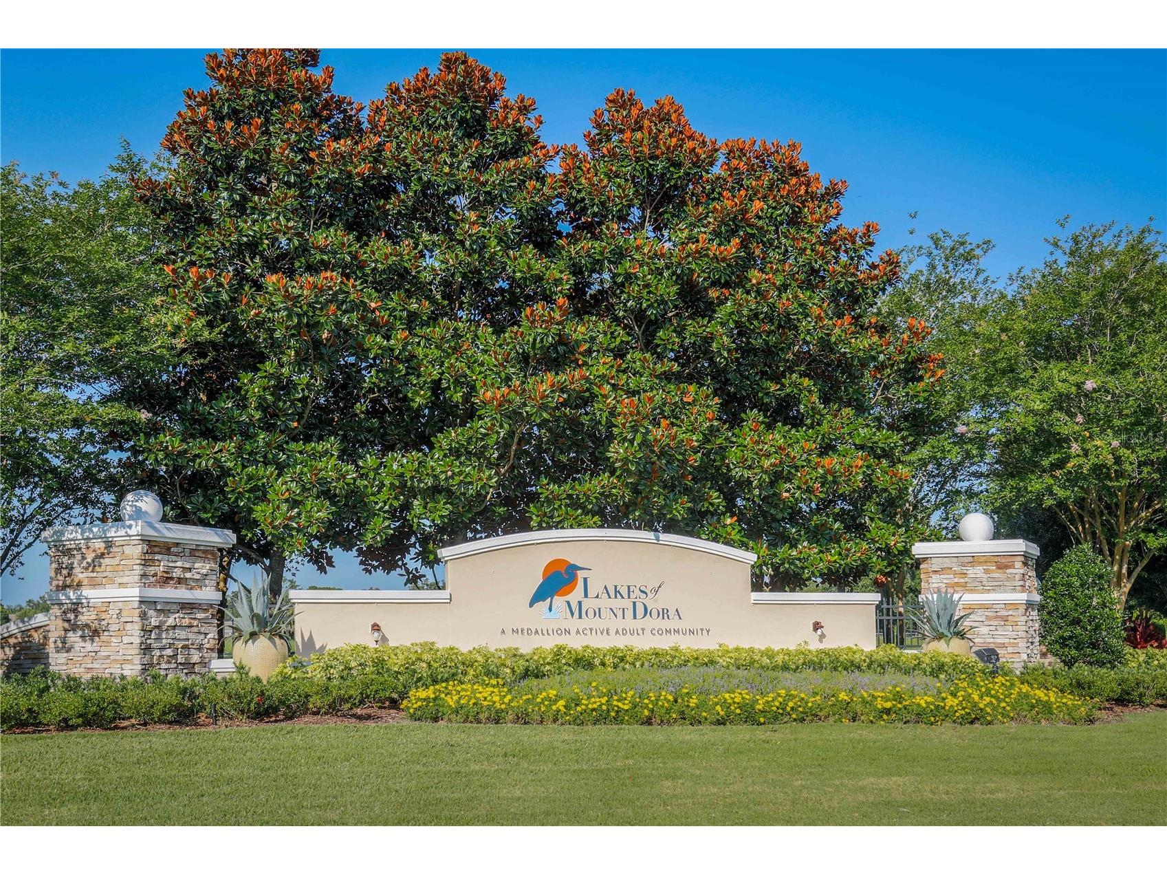 2440 Pawtucket Pass Mount Dora FL 32757 - LAKES OF MOUNT DORA G5107567 image47