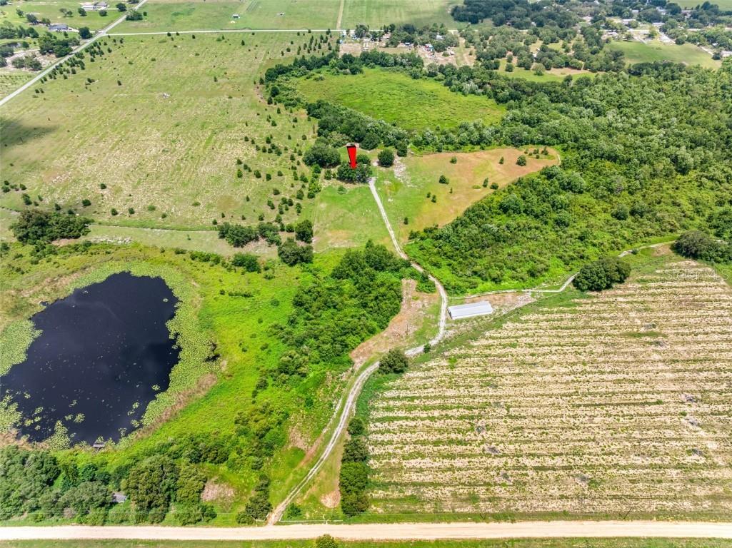 2440 S Wallace Rd Bartow FL 33830 TB8397764 image17