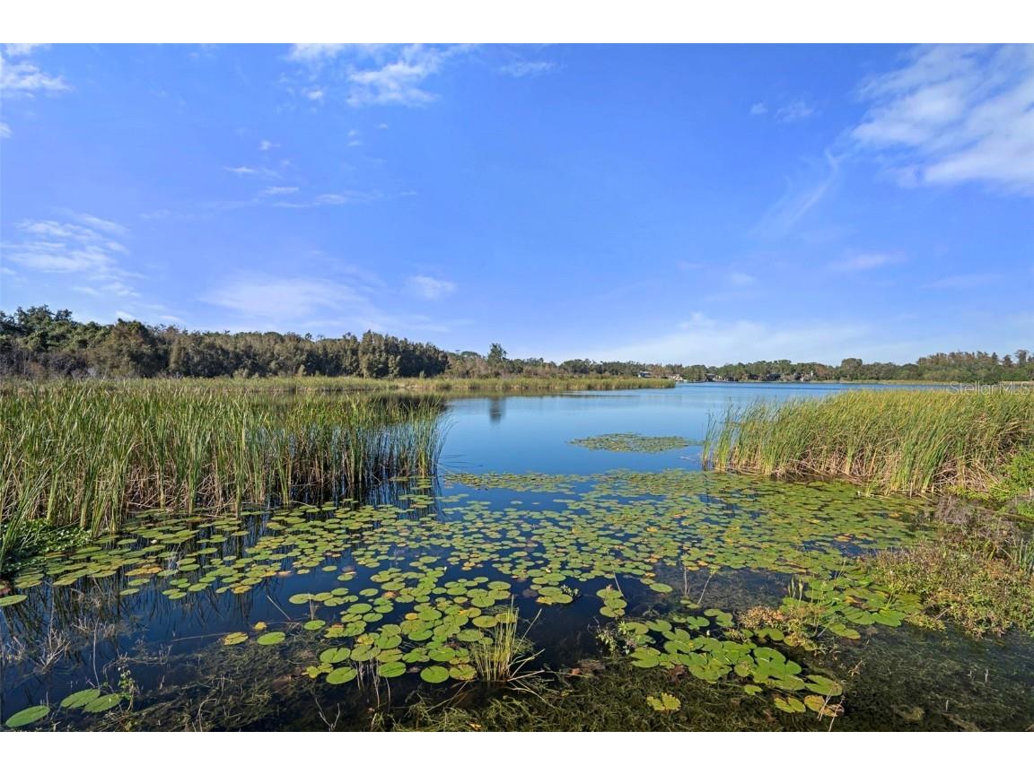 2440 World Parkway Boulevard #38 Clearwater FL 33763 TB8422744 image55