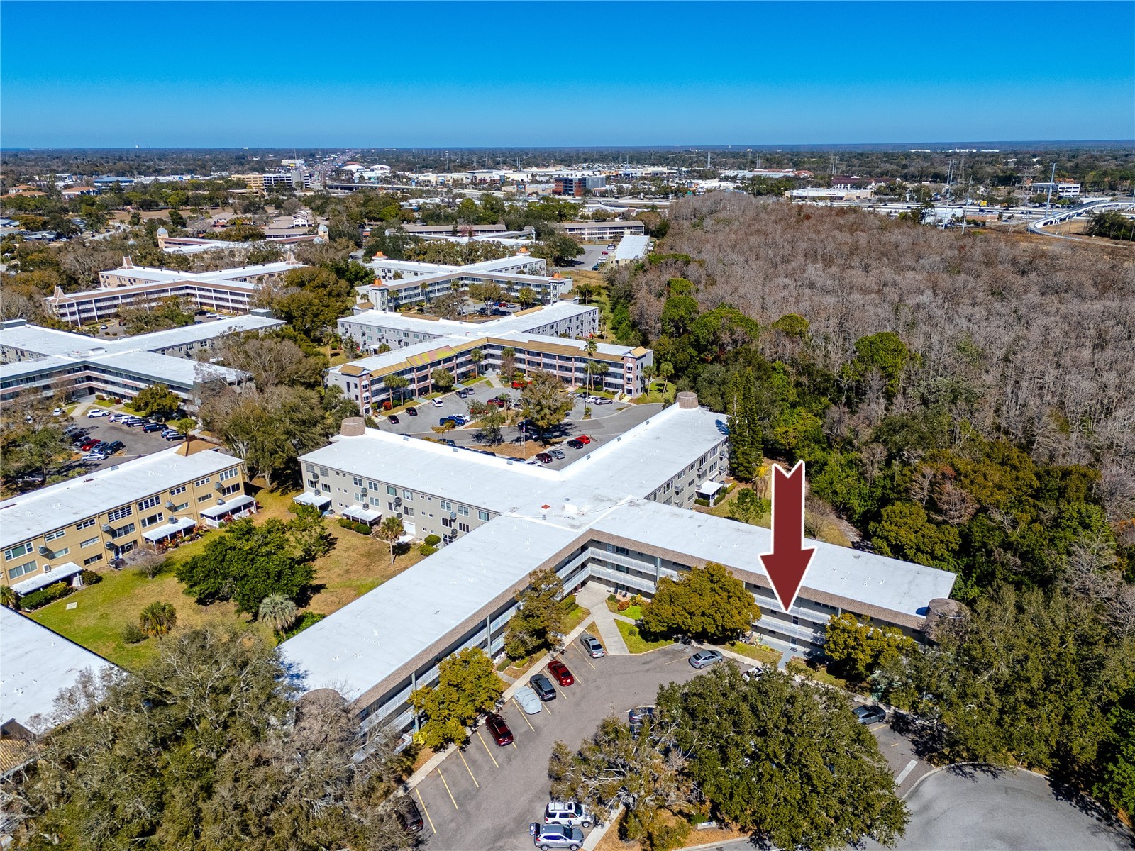 2440 World Parkway Boulevard #38 Clearwater FL 33763 TB8475430 image51