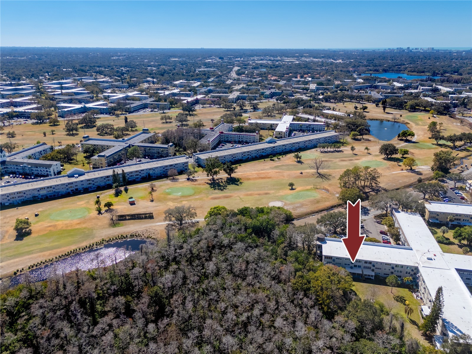 2440 World Parkway Boulevard #38 Clearwater FL 33763 TB8475430 image52