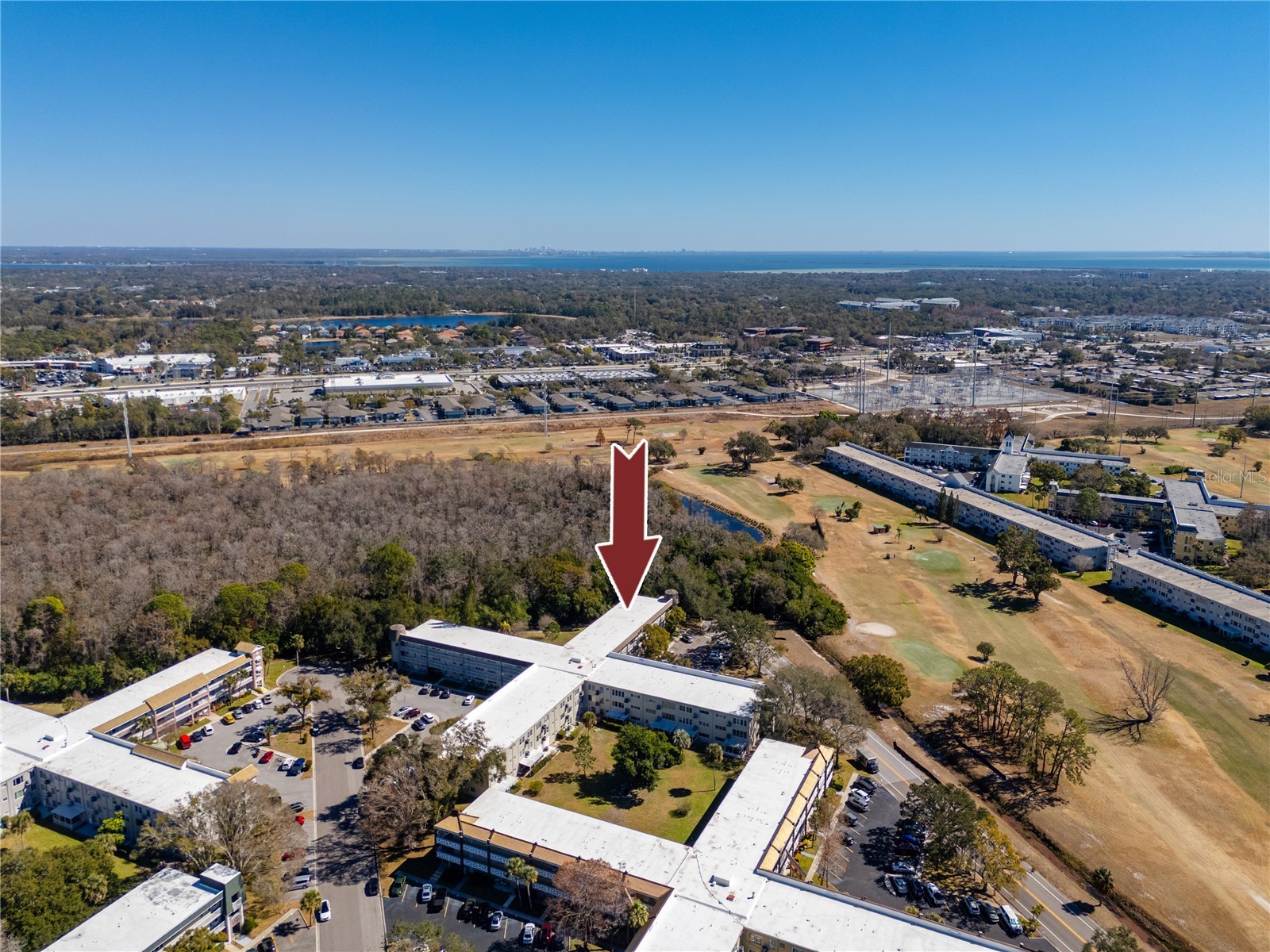 2440 World Parkway Boulevard #38 Clearwater FL 33763 TB8475430 image54