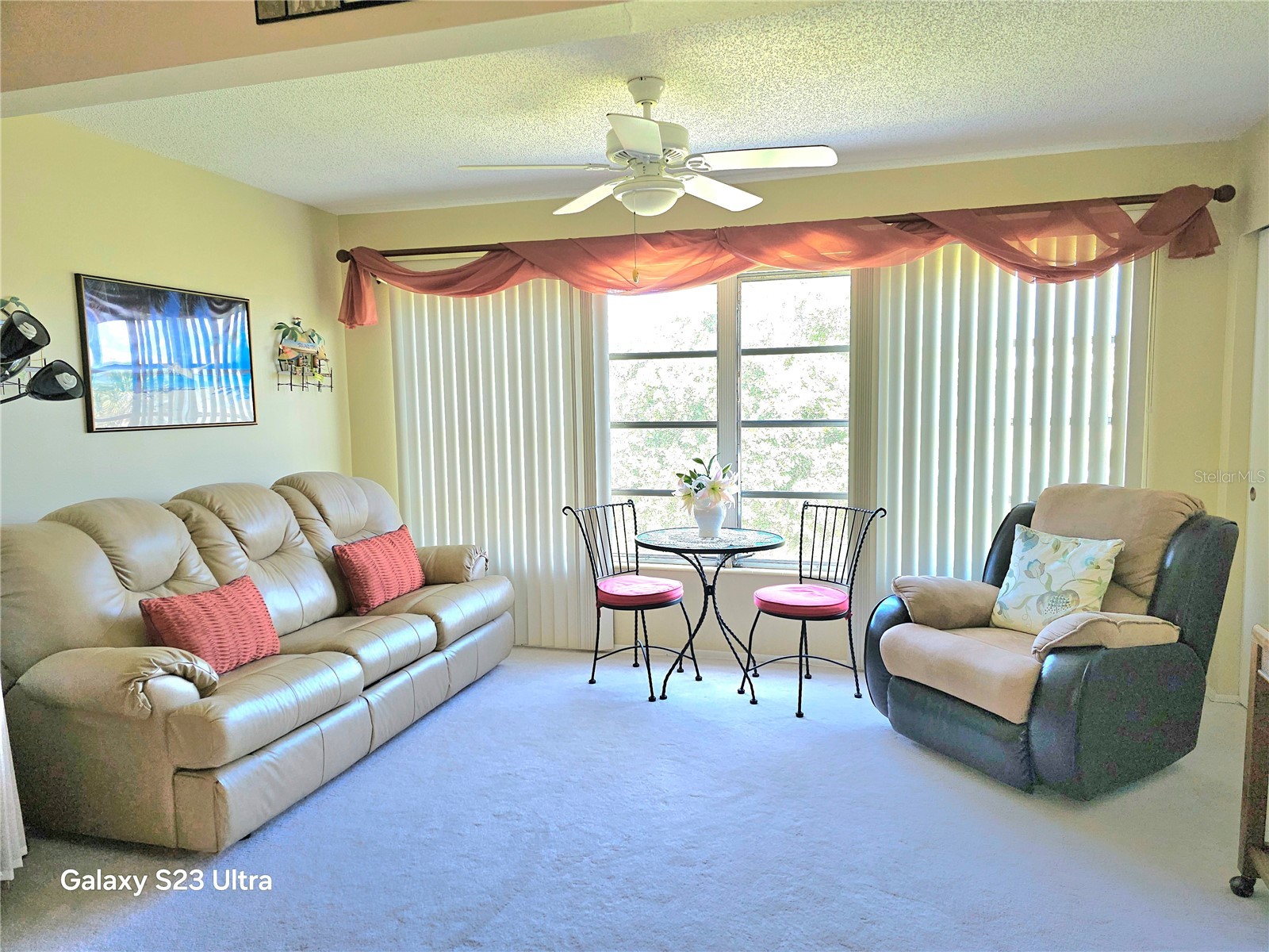 2440 World Parkway Boulevard #46 Clearwater FL 33763 TB8503314 image13