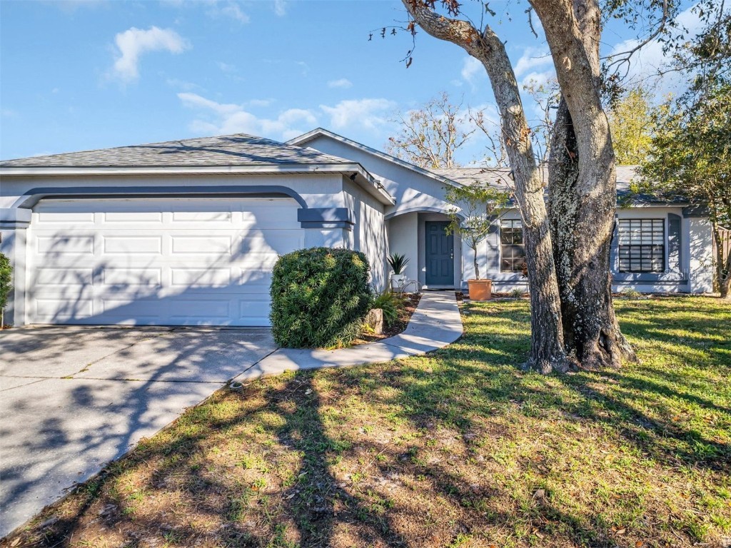 2441 Blossom Lake Drive Holiday FL 34691 TB8352284 image1