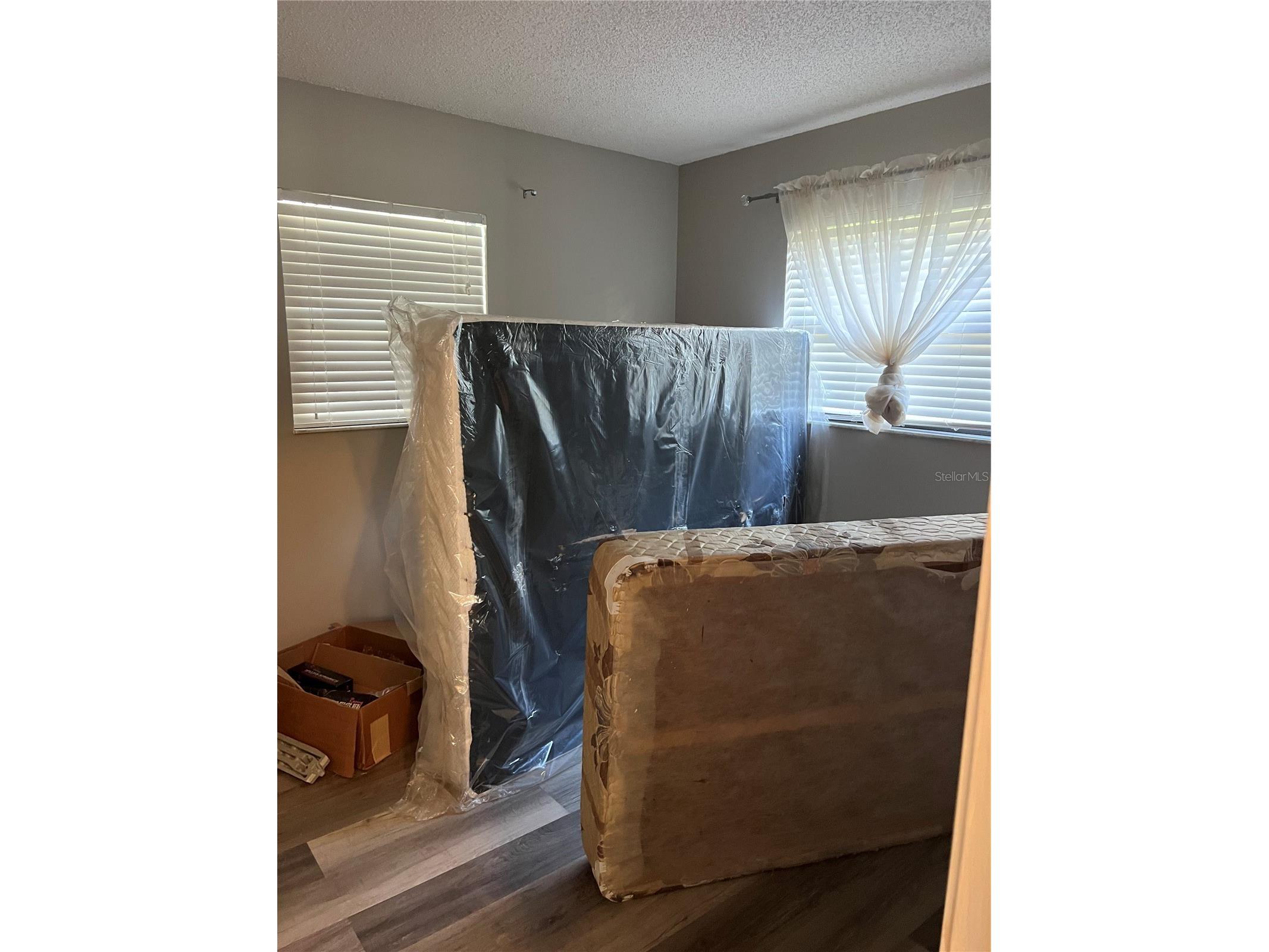 2441 Dustin Circle Spring Hill FL 34608 TB8457782 image24