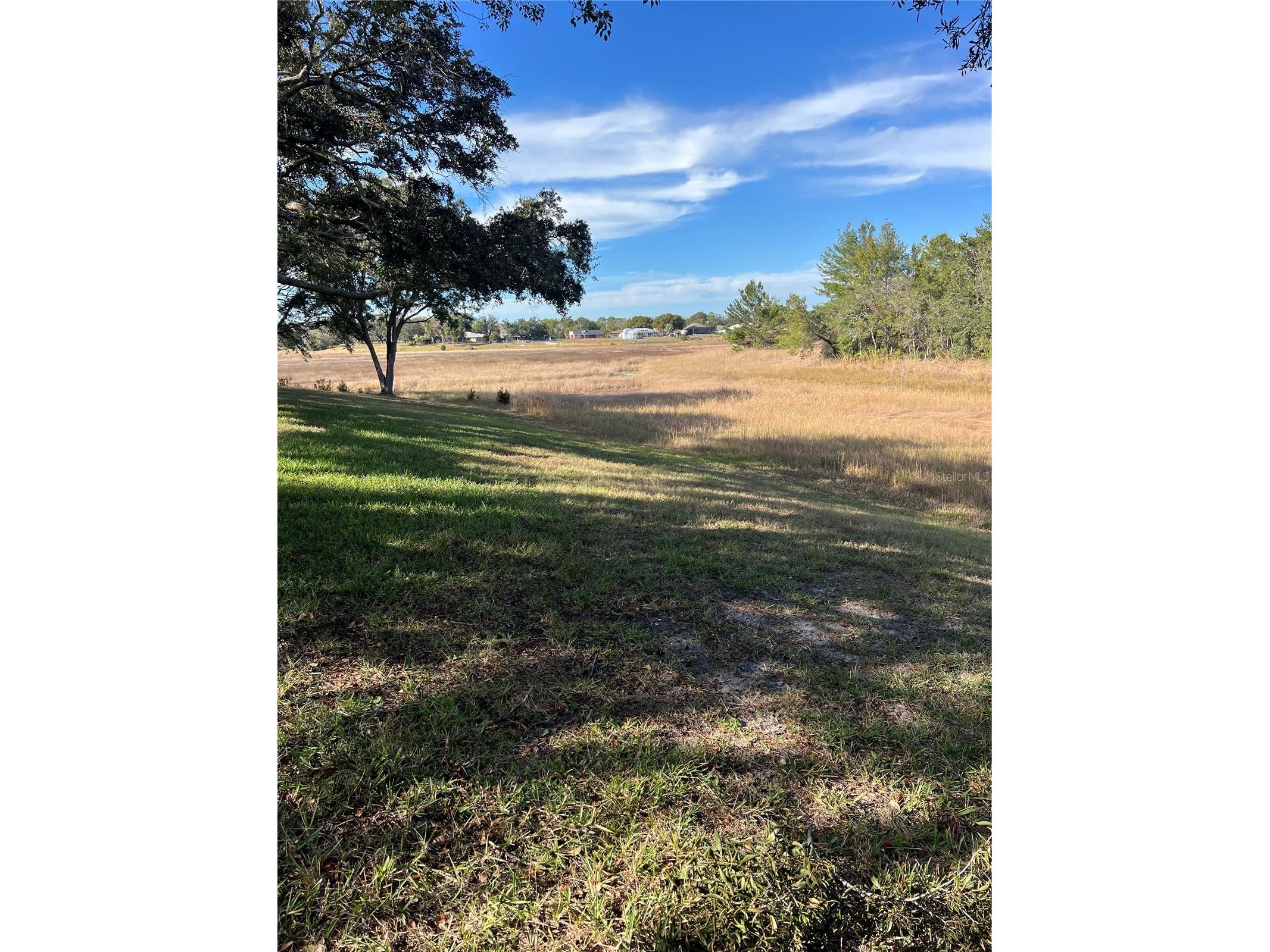 2441 Dustin Circle Spring Hill FL 34608 TB8457782 image33