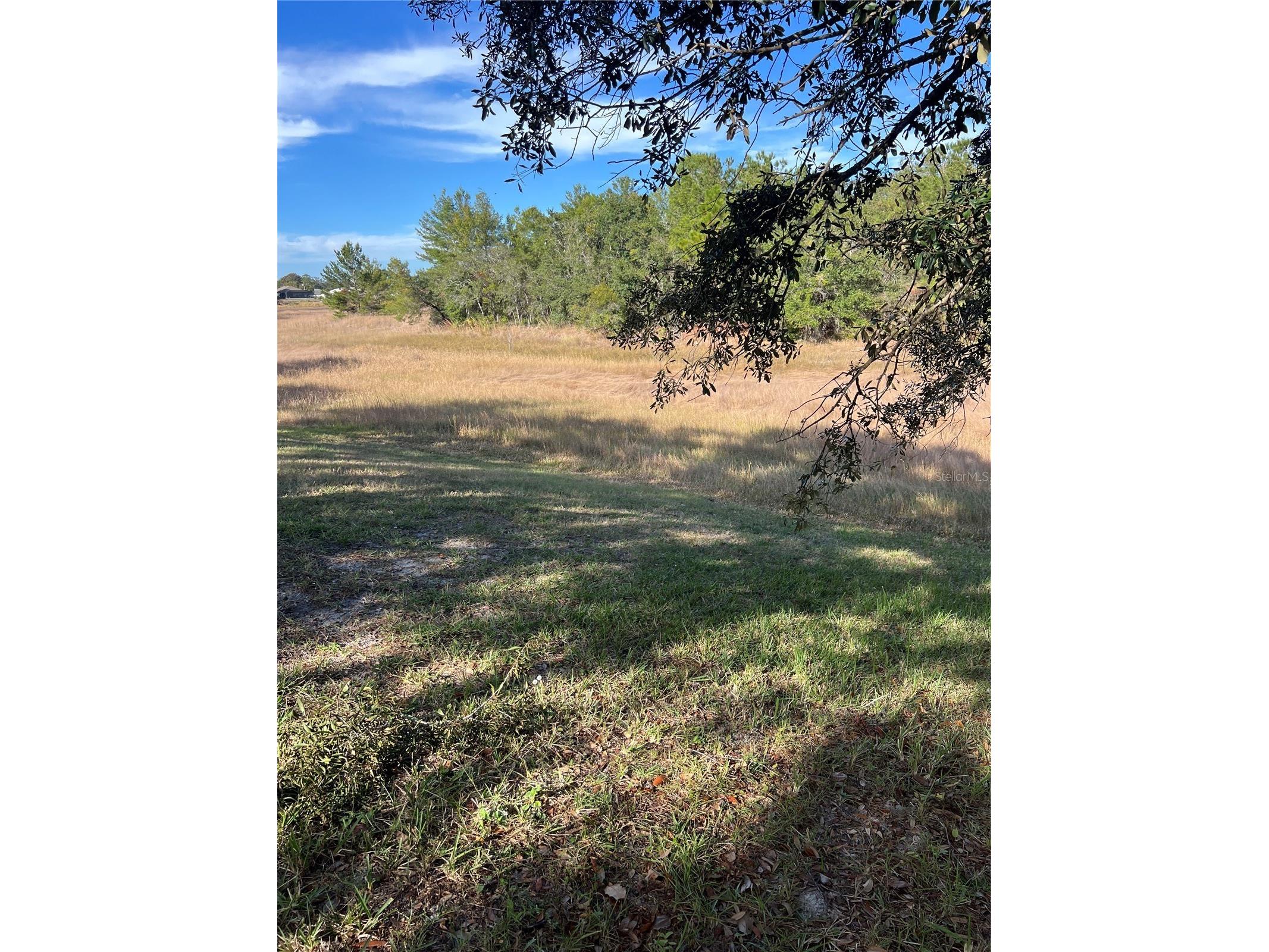 2441 Dustin Circle Spring Hill FL 34608 TB8457782 image34