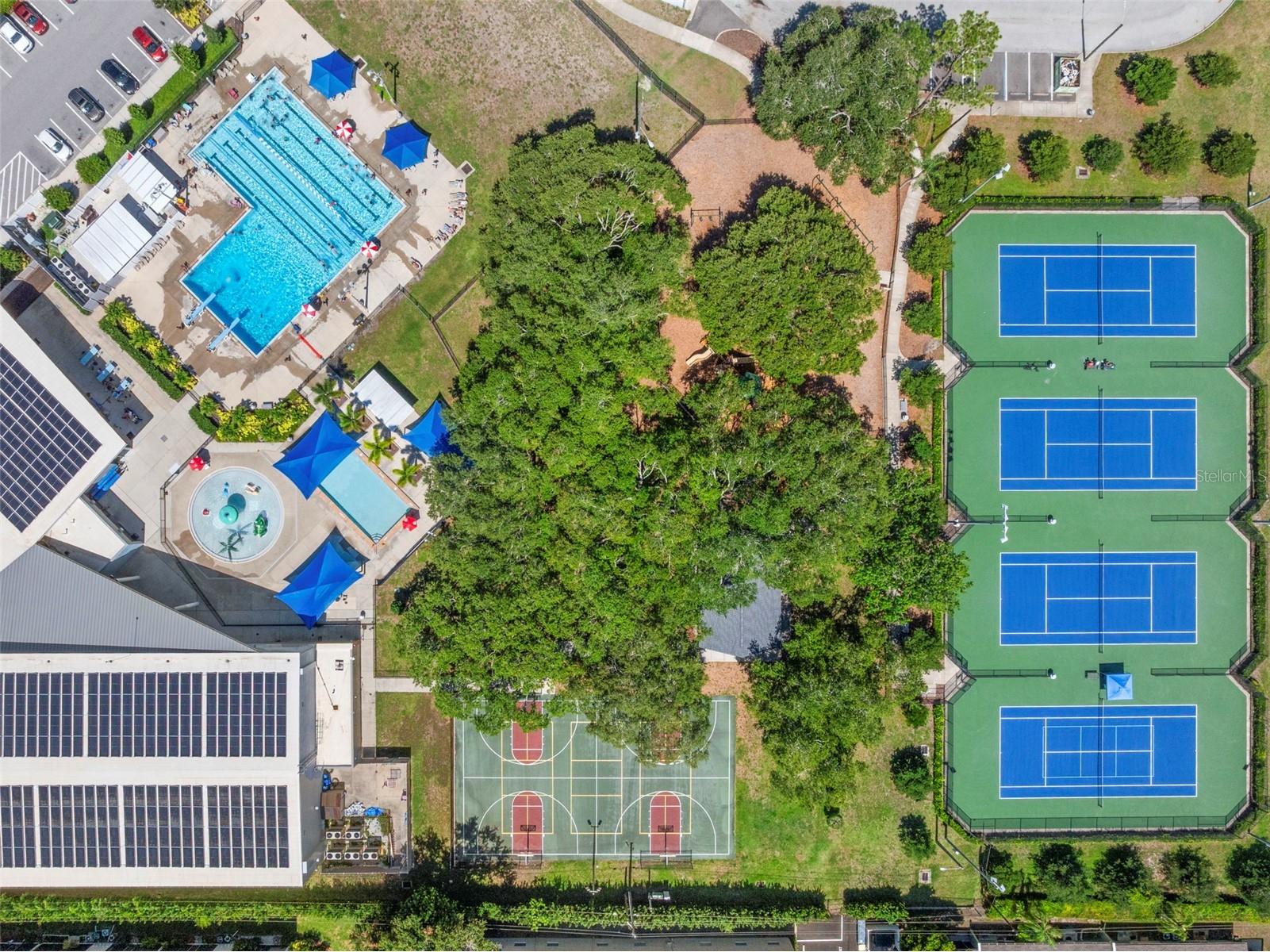 2441 Fairbanks Drive Clearwater FL 33764 TB8523155 image28