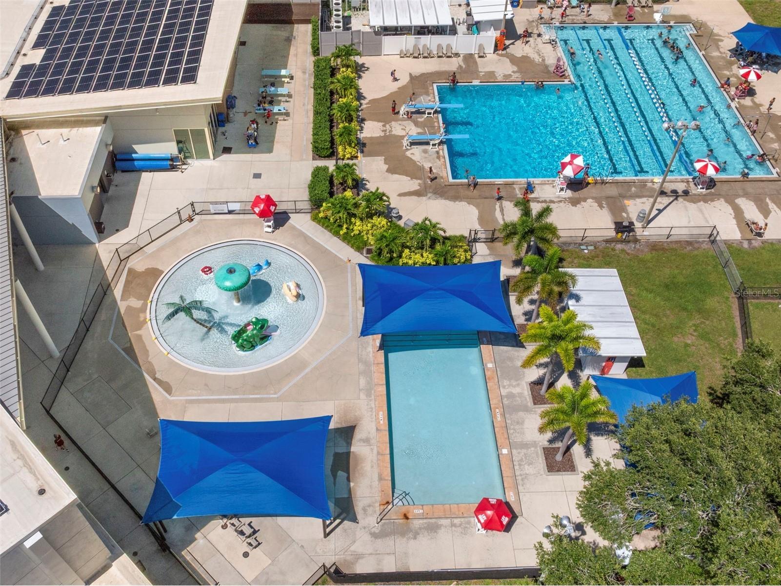 2441 Fairbanks Drive Clearwater FL 33764 TB8523155 image29