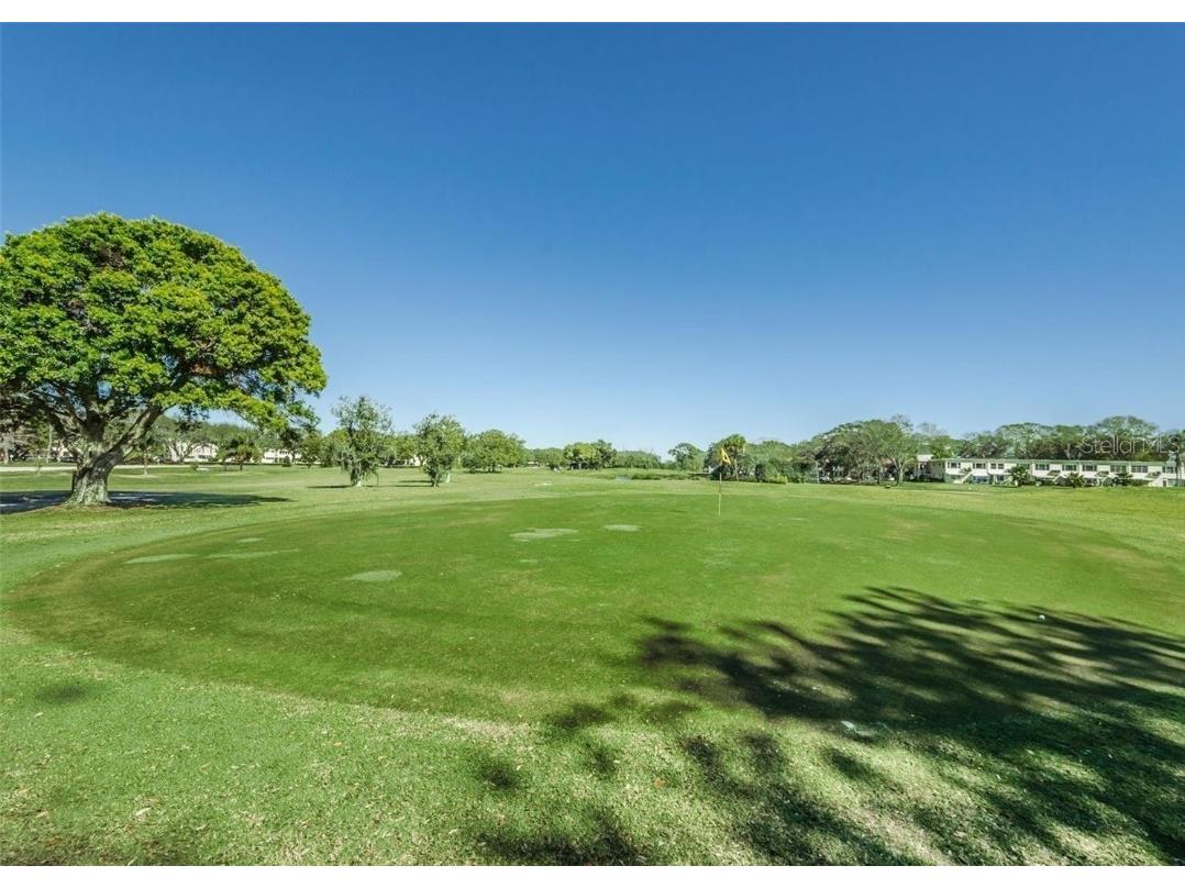 2441 Persian Drive #51 Clearwater FL 33763 TB8452295 image12