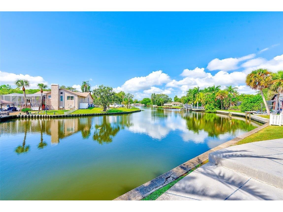 2441 Roberta Lane Clearwater FL 33764 - ALLEN'S CREEK TB8438950 image4