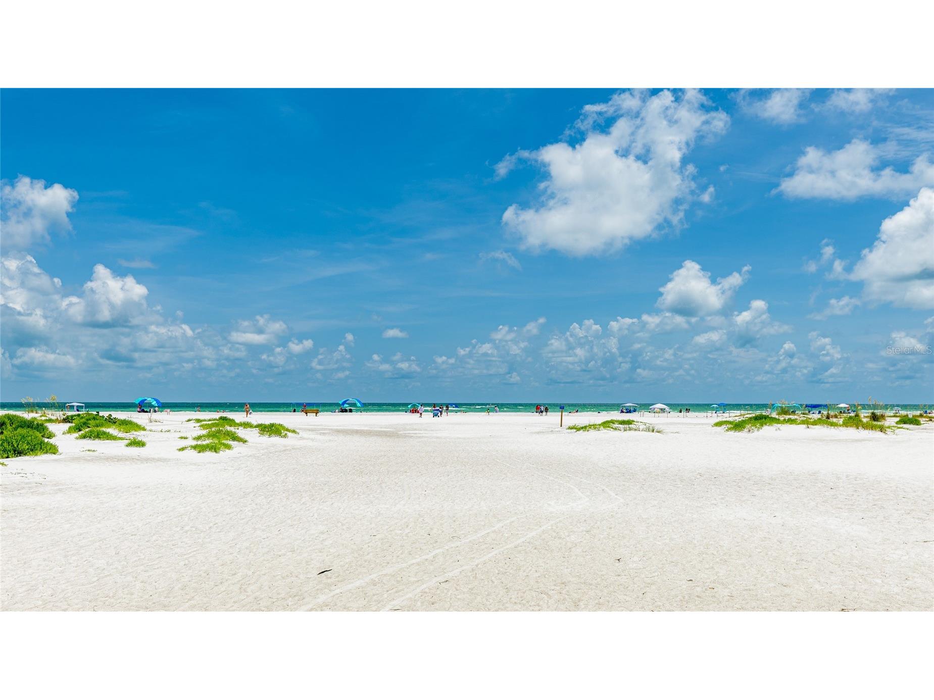 24413 Bandoni Place Venice FL 34293 A4697643 image48
