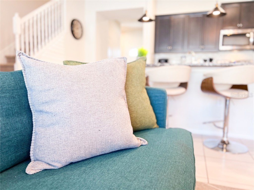 2442 Dubai Street Kissimmee FL 34747 O6363195 image16