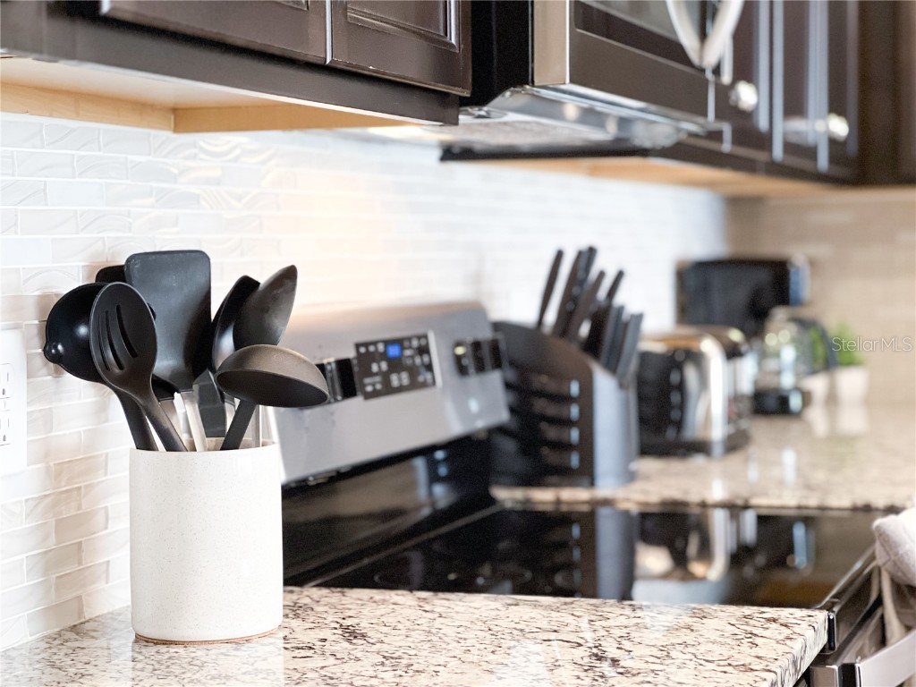 2442 Dubai Street Kissimmee FL 34747 O6363195 image19